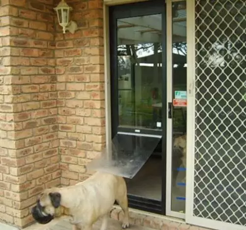 The benefits of Glass Pet Door Installation