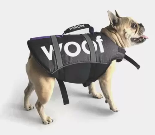 Keep Your Furry Friend Safe on the Water Get a Dog Life Vest Now