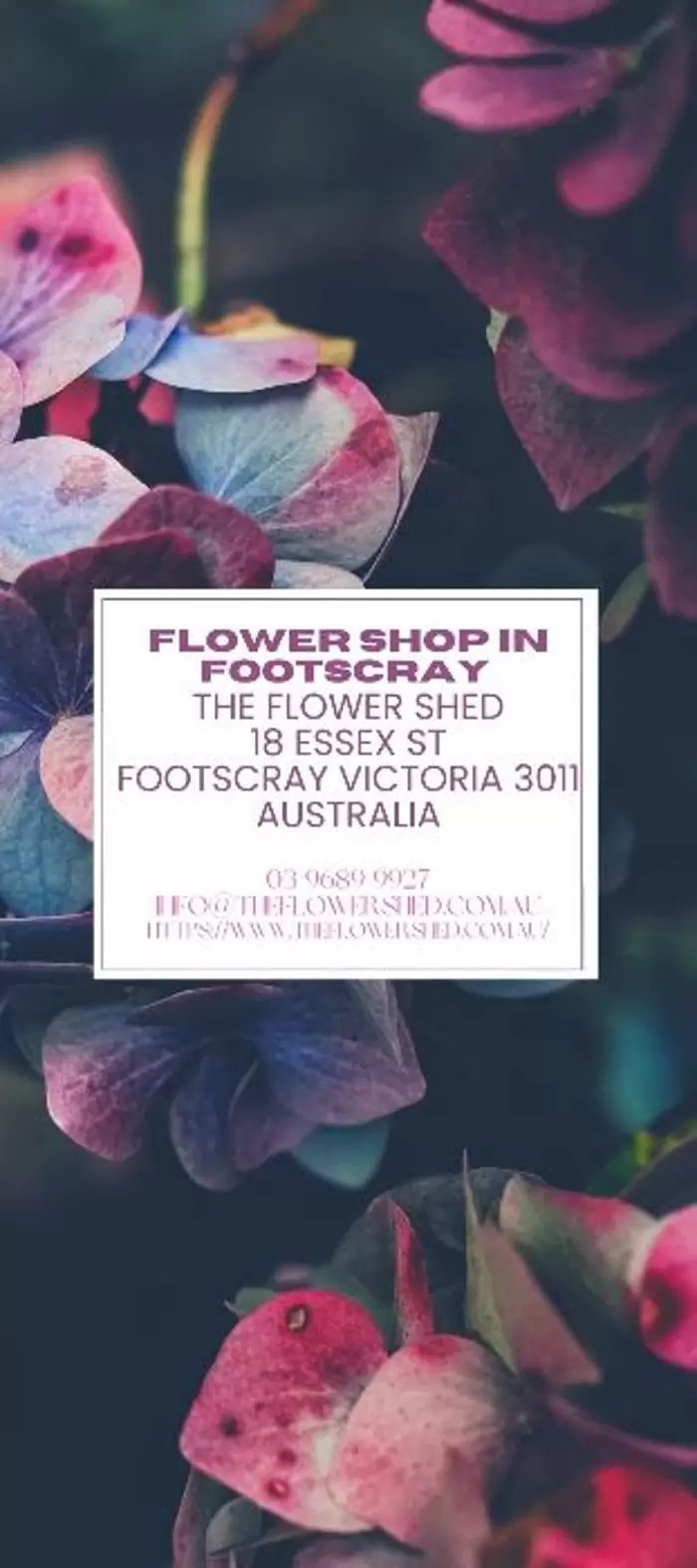 Same Day Flower Delivery Footscray